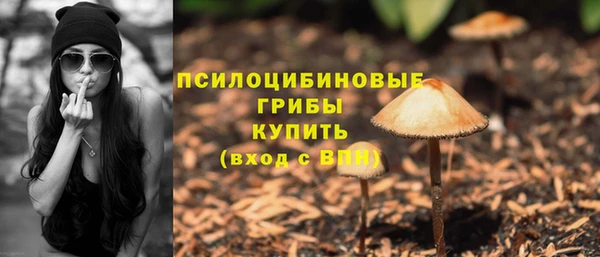 эйфоретик Абинск
