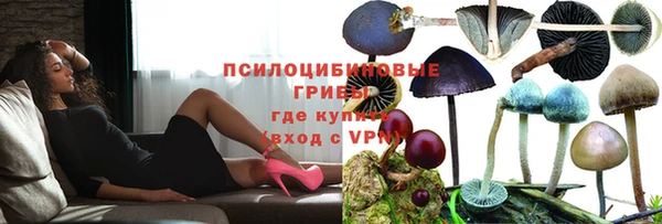 мет Алексин