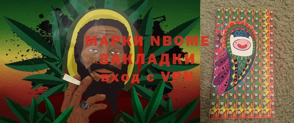 мет Алексин
