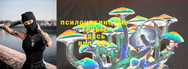 прущие грибы Алексеевка