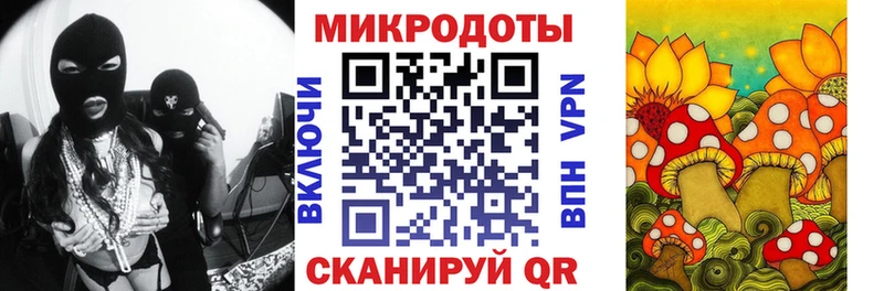 кракен как зайти  Белоусово  Галлюциногенные грибы мицелий 